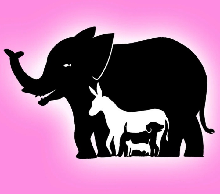 Оптическая иллюзия на проверку уровня IQ