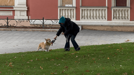 Осеннее полнолуние и шторм — какой будет погода в Одессе завтра - 285x160