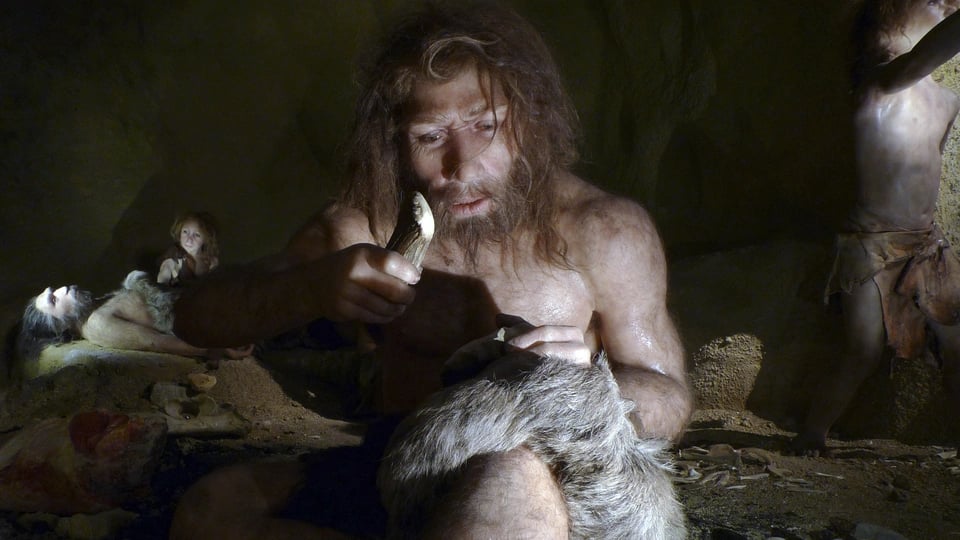 Почему действительно исчезли неандертальцы — археолог раскрыл новые сенсационные детали