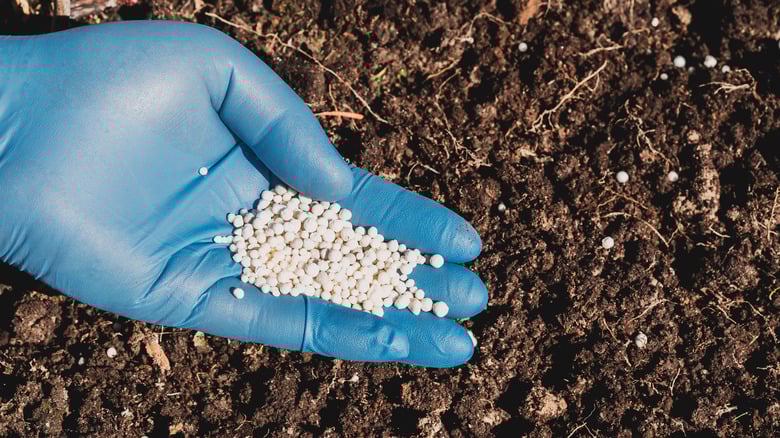 Подкормка почвы