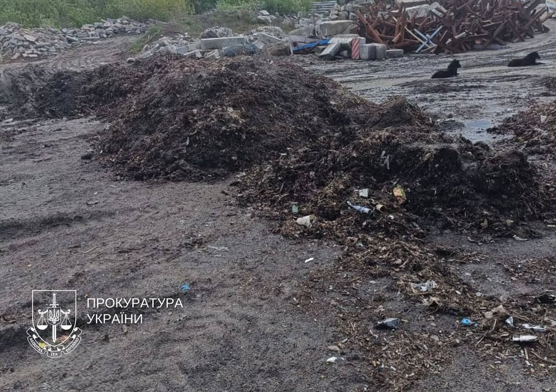 Сміттєзвалище в парку "Балка Проня" ліквідують