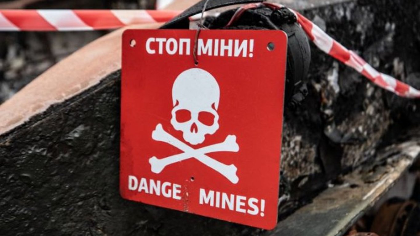 В Харьковской области мужчина взорвался на мини на собственном огороде