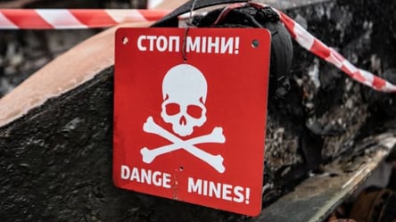 В Харьковской области мужчина подорвался на мине на собственном огороде - 285x160