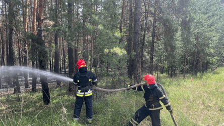 На Харківщині вже кілька днів не можуть загасити пожежу — вогонь охопив 3700 га лісу - 285x160