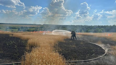 Високий ризик детонації — у Миколаєві рятувальники дві доби гасили пожежу - 285x160