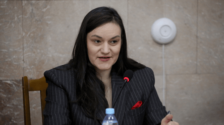 Выезд за границу — Бережная оценила процедуру выдачи разрешений артистам - 285x160