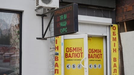 Євро може готувати нові виклики для українців — що буде з курсом - 285x160