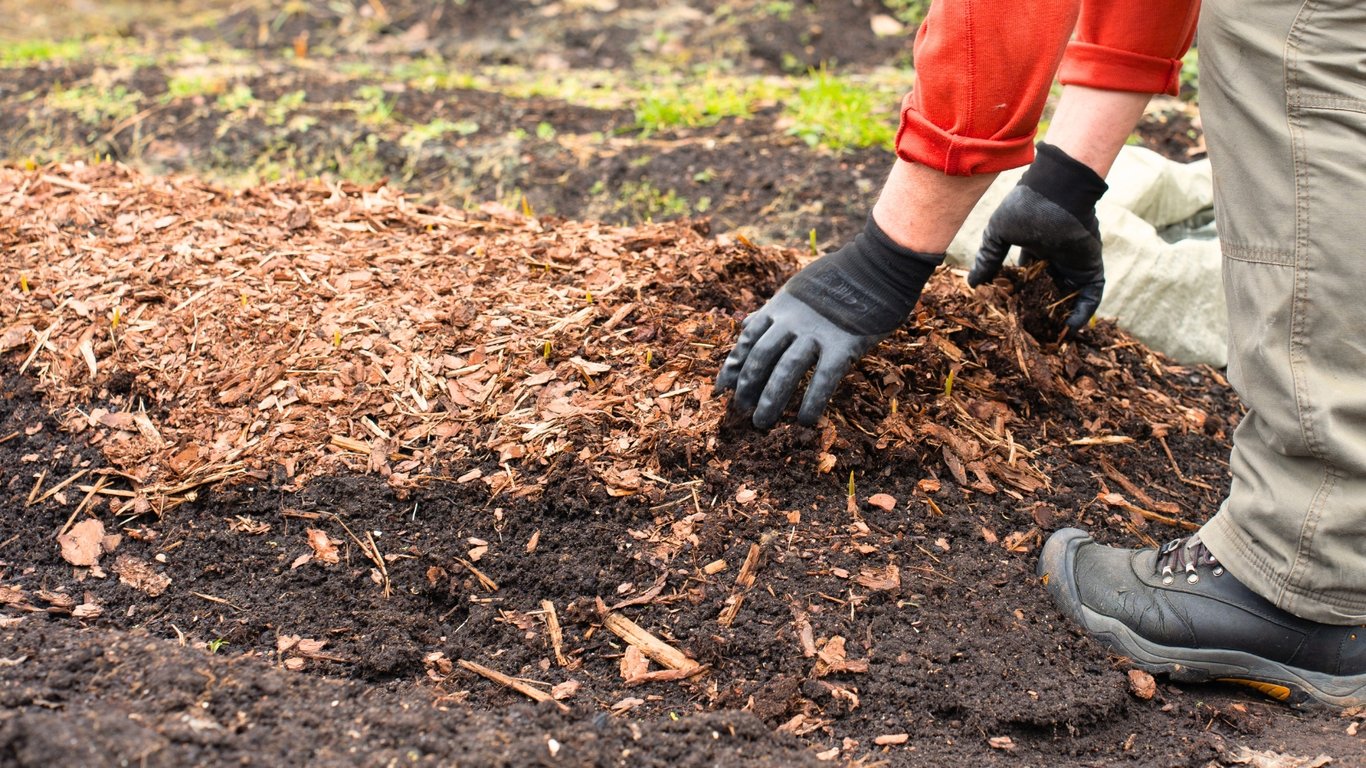 Какая польза опилок для огорода и сада