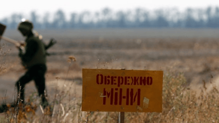 В Херсонской области на российской мине подорвался электрик: детали - 285x160