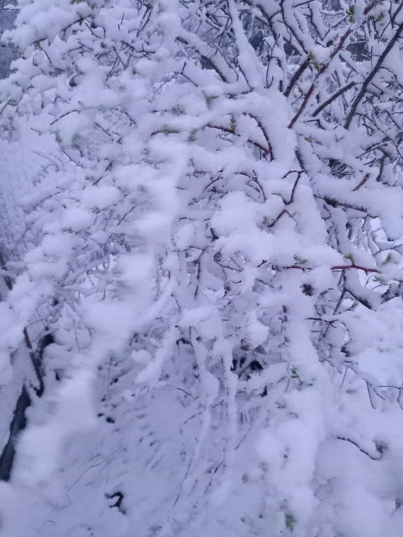 Сніг в Дніпропетровській області