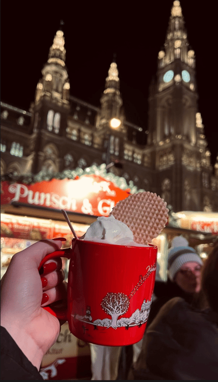 Впечатляющая атмосфера рождественских ярмарок Вены — фоторепортаж - фото 3