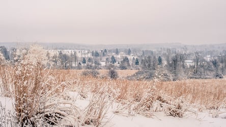 Автоматическое возобновление аренды — как не потерять контроль над землей - 285x160