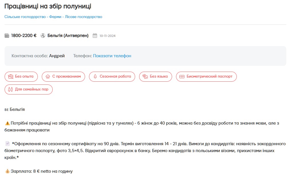 Какие зарплаты в Бельгии