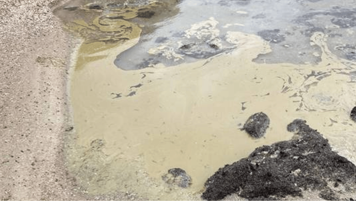Забруднення моря в Одесі