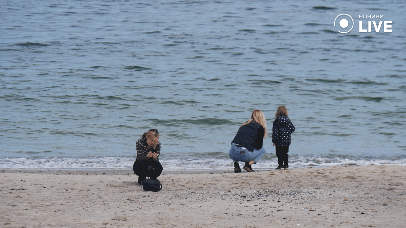 Люди отдыхают у моря