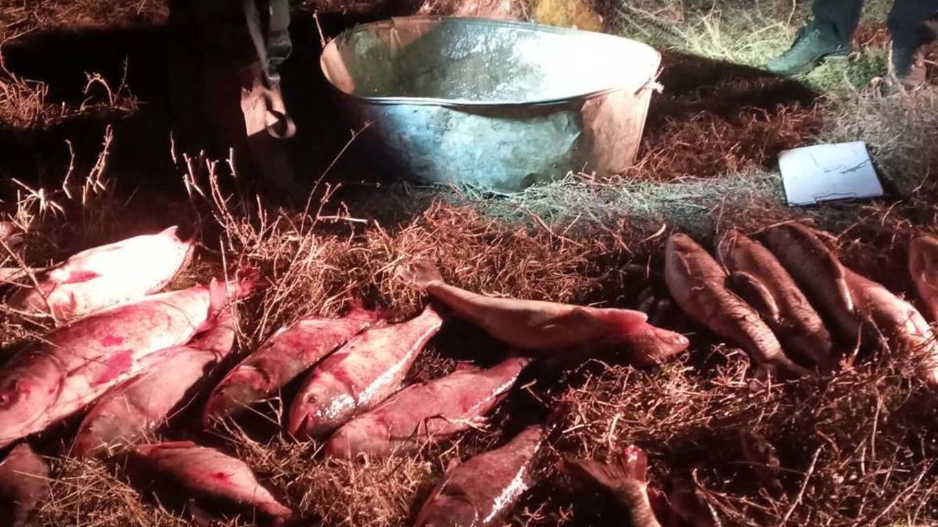 На Одещині затримали рибного браконьєра — скільки завдав державі збитків