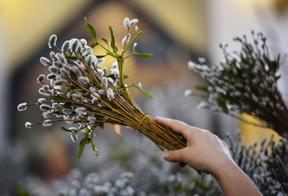 Які існують традиції у Лазареву суботу