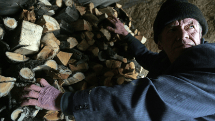 Запаси дров виснажуються швидше через морози — як заощадити паливо - 285x160