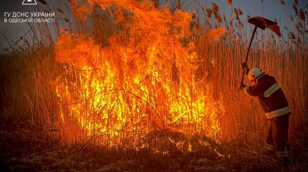 Спасатели ликвидировали пожар на полях орошения в Одессе - 285x160