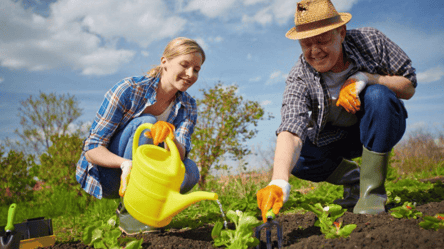 Лучшие дачники по гороскопу — кому везет с урожаем - 285x160