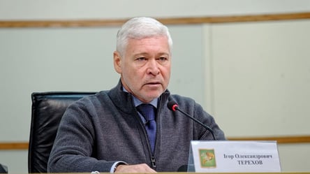 Терехов создал действенный механизм борьбы с кризисами, — блогер - 290x166