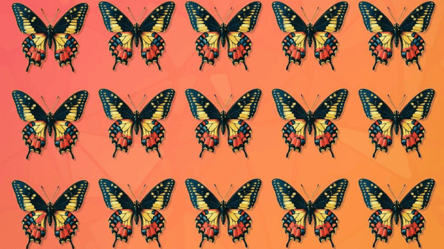 Только 1 из 10 сразу видит бабочку, которая отличается от других - 290x166