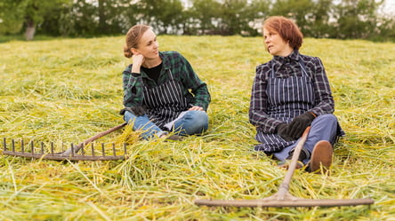 Бесплатная земля от государства — реально ли получить в 2025 году - 285x160