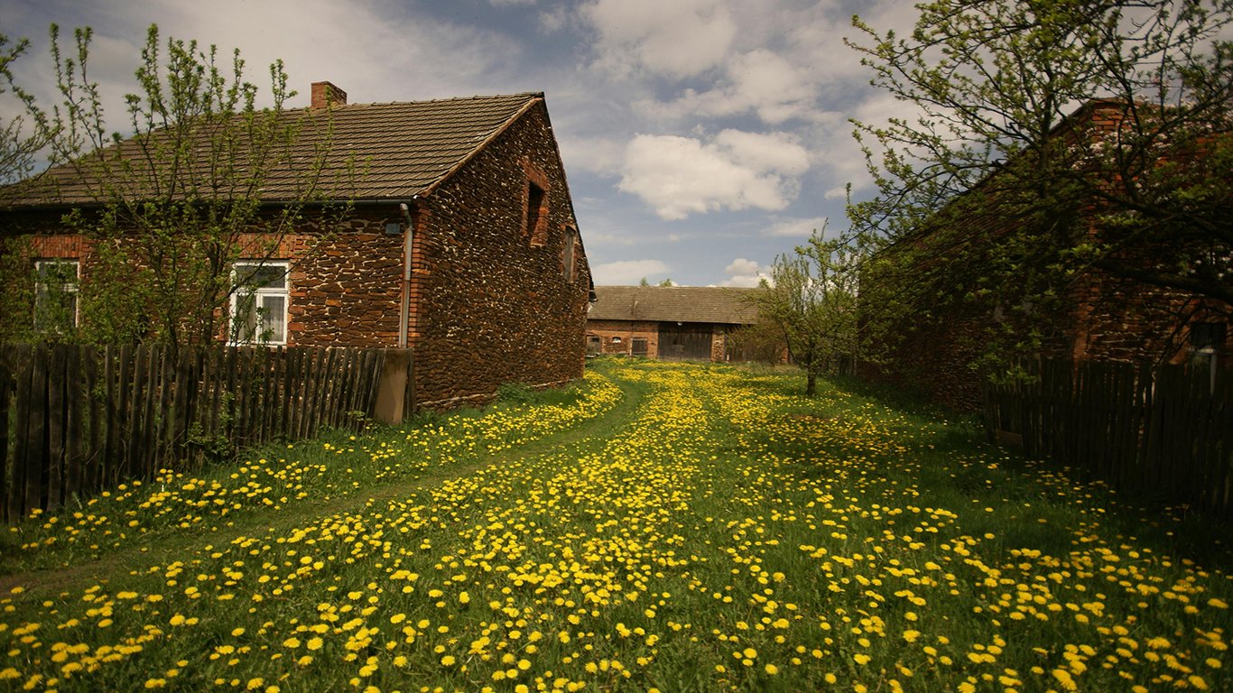 Яка максимальна висота паркану з боку вулиці дозволена в Україні у 2025 році