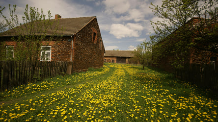 Максимальна висота паркану з боку вулиці — норми у 2025 році - 285x160