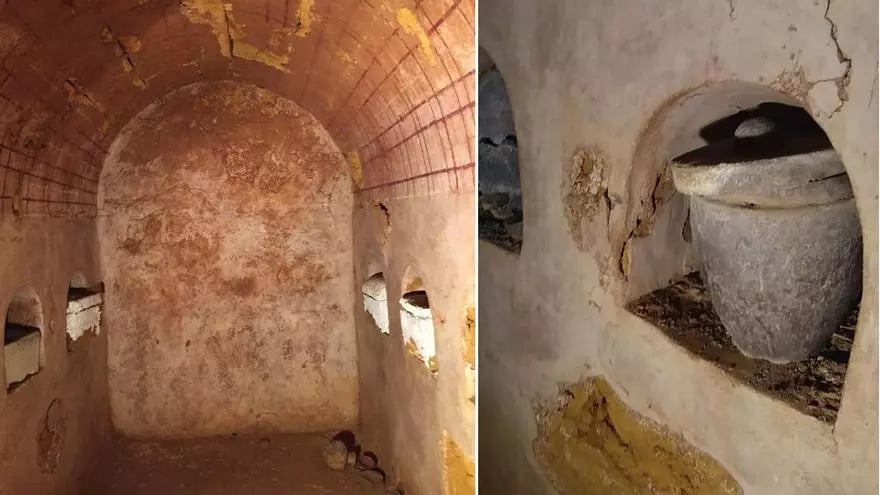 У найстарішому у світі вині знайшли людські рештки: фото