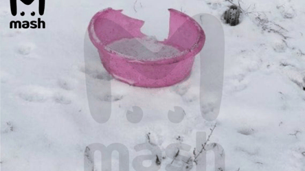 В России люди огородили неразорвавшимся розовым тазом снаряд - 285x160