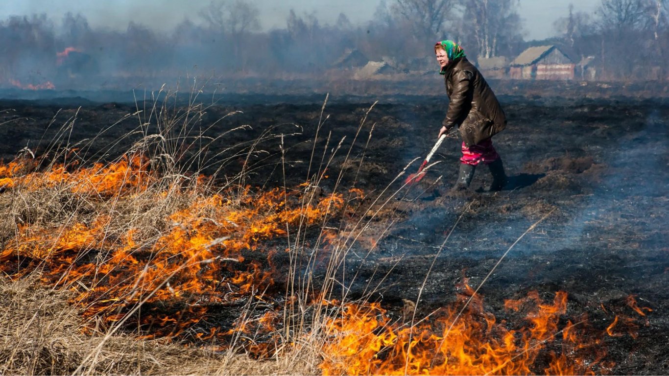 Какие штрафы у Украины за сжигание сухостоя