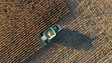 Цены на кукурузу в Украине — сколько стоит зерно в июне - 285x160