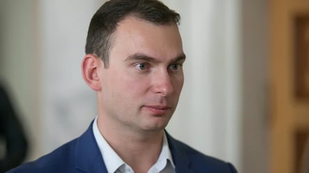 Железняк заявив, що нового міністра оборони шукатимуть не серед Клименка чи Федорова - 285x160