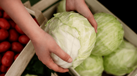 Як правильно зберігати капусту вдома — секрети від дачників - 285x160