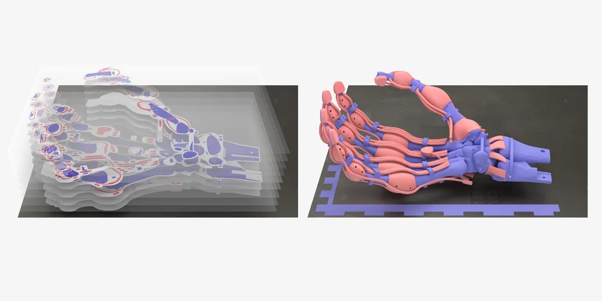 Ученые создали первую в мире роботизированную руку с внутренней структурой, напоминающей человеческую