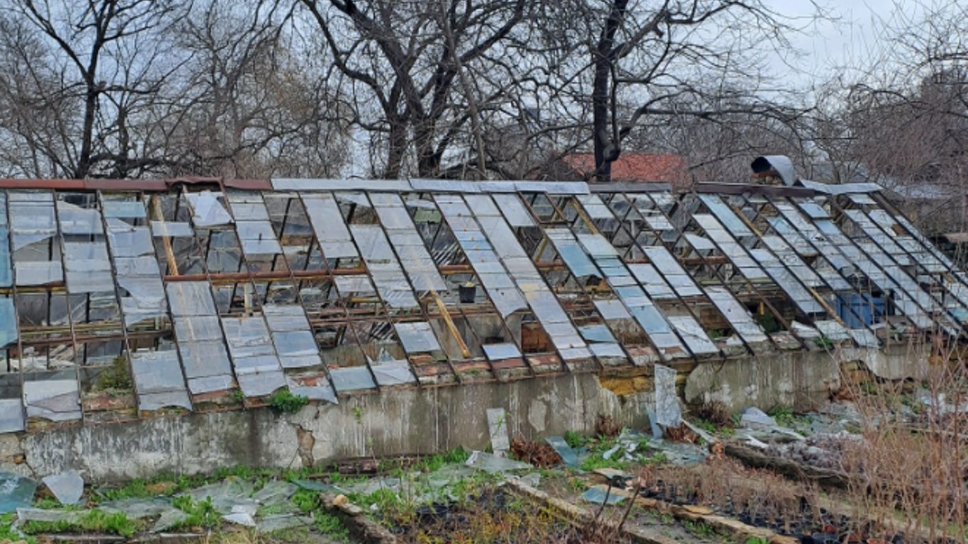 Одесский ботанический сад после российских атак — какие последствия