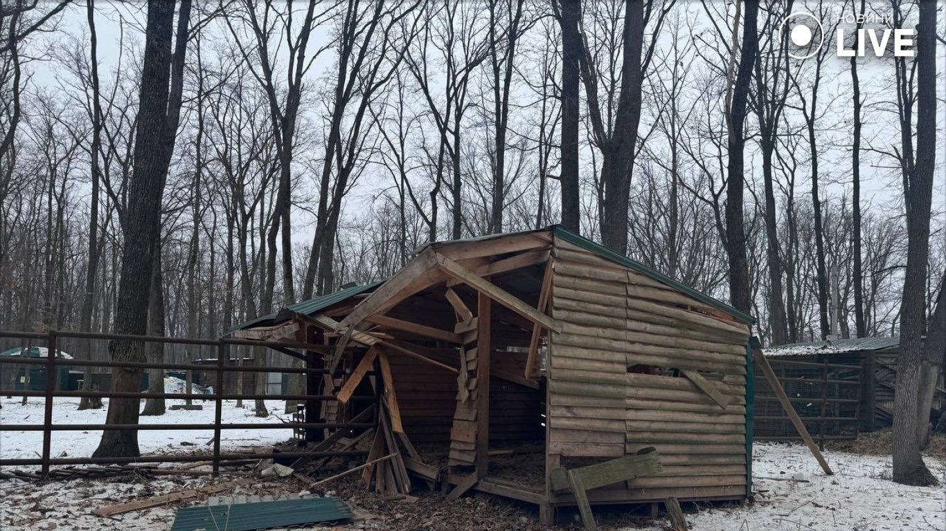 наслідки удару по екопарку на Харківщині