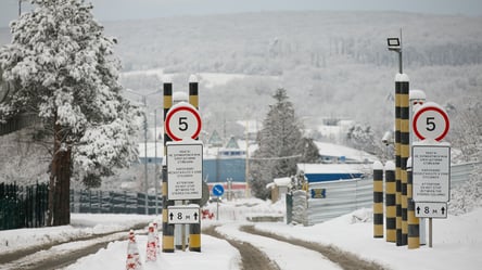 Выезд в Польшу может обернуться тюрьмой — из-за чего наказывают - 285x160