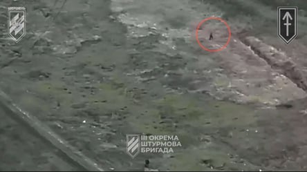 Добегался — 3-я ОШБр уничтожила российского солдата, сдавшего свою позицию - 285x160