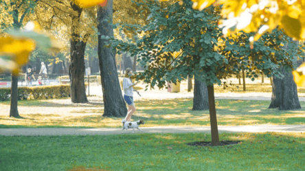 Прогулянки Києвом восени — 7 парків на будь-який смак - 285x160
