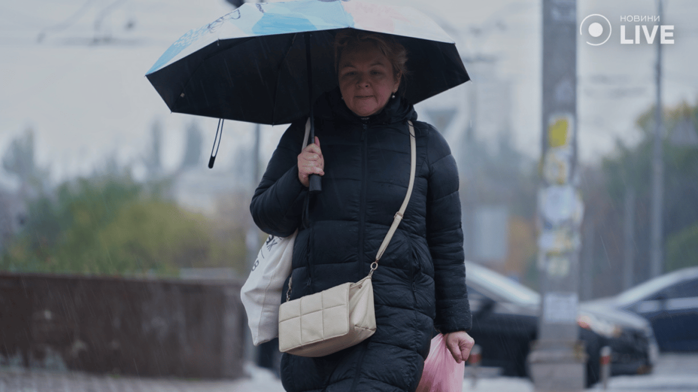 Погода в Украине 15 февраля от Наталки Диденко — подробный прогноз