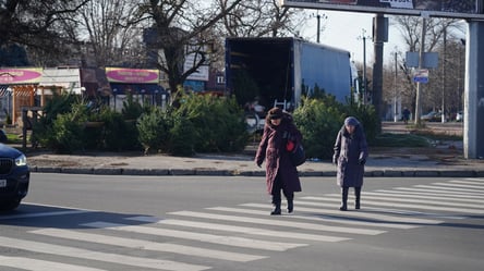 Сколько стоят елки в Одессе в 2025 году — обзор локаций - 290x160