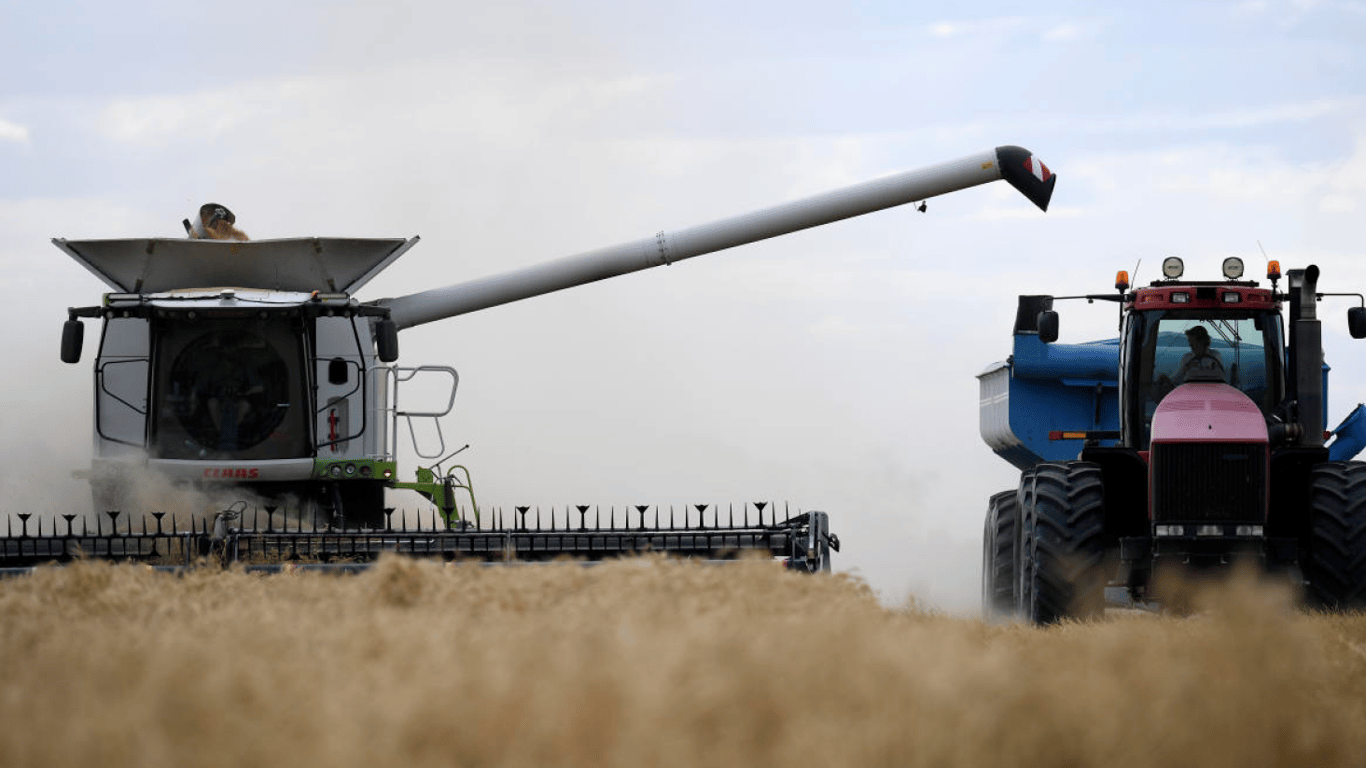 Ціни на зернові в Україні станом на 26 лютого 2024