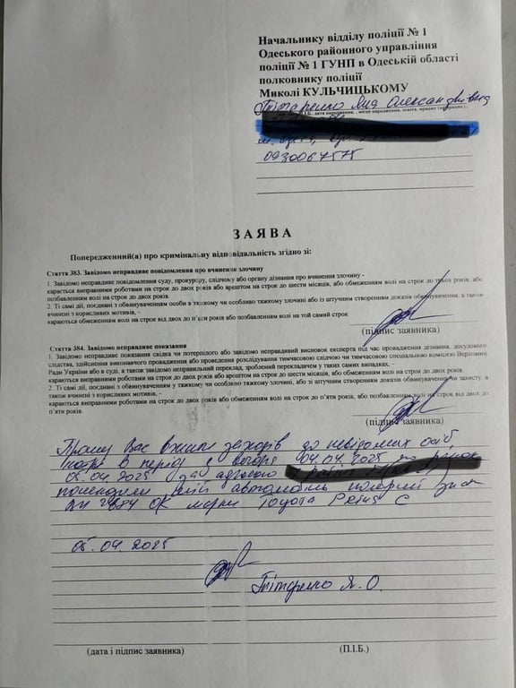 В Одесі пошкодили авто зоозахисниці Яни Тітаренко — подробиці - фото 2