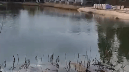 Во Львовской области застройщики незаконно спускают озеро - 290x160