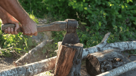 Як взимку зберегти дрова сухими — головні правила - 285x160