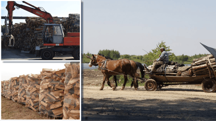 Складений чи щільний кубометр дров: в чому різниця та за що повинен заплатити покупець - 285x160