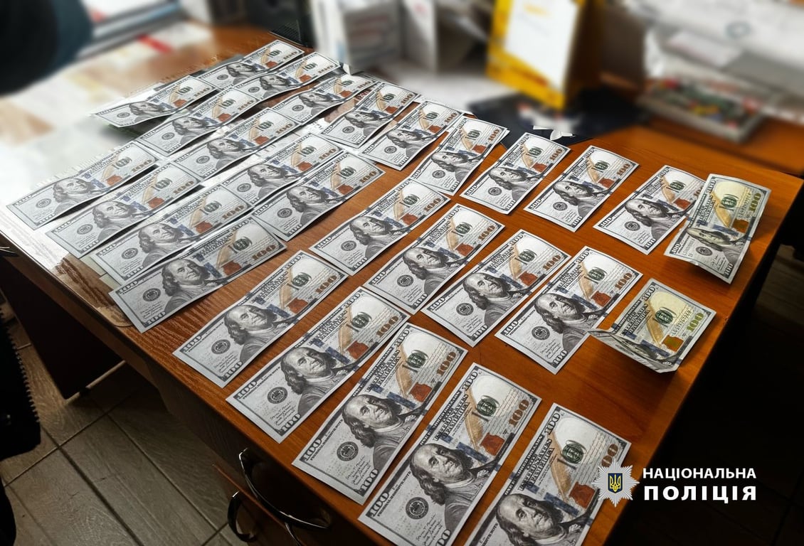  Гроші, документи та обшуки: як викрили лікарку в Хмельницькому