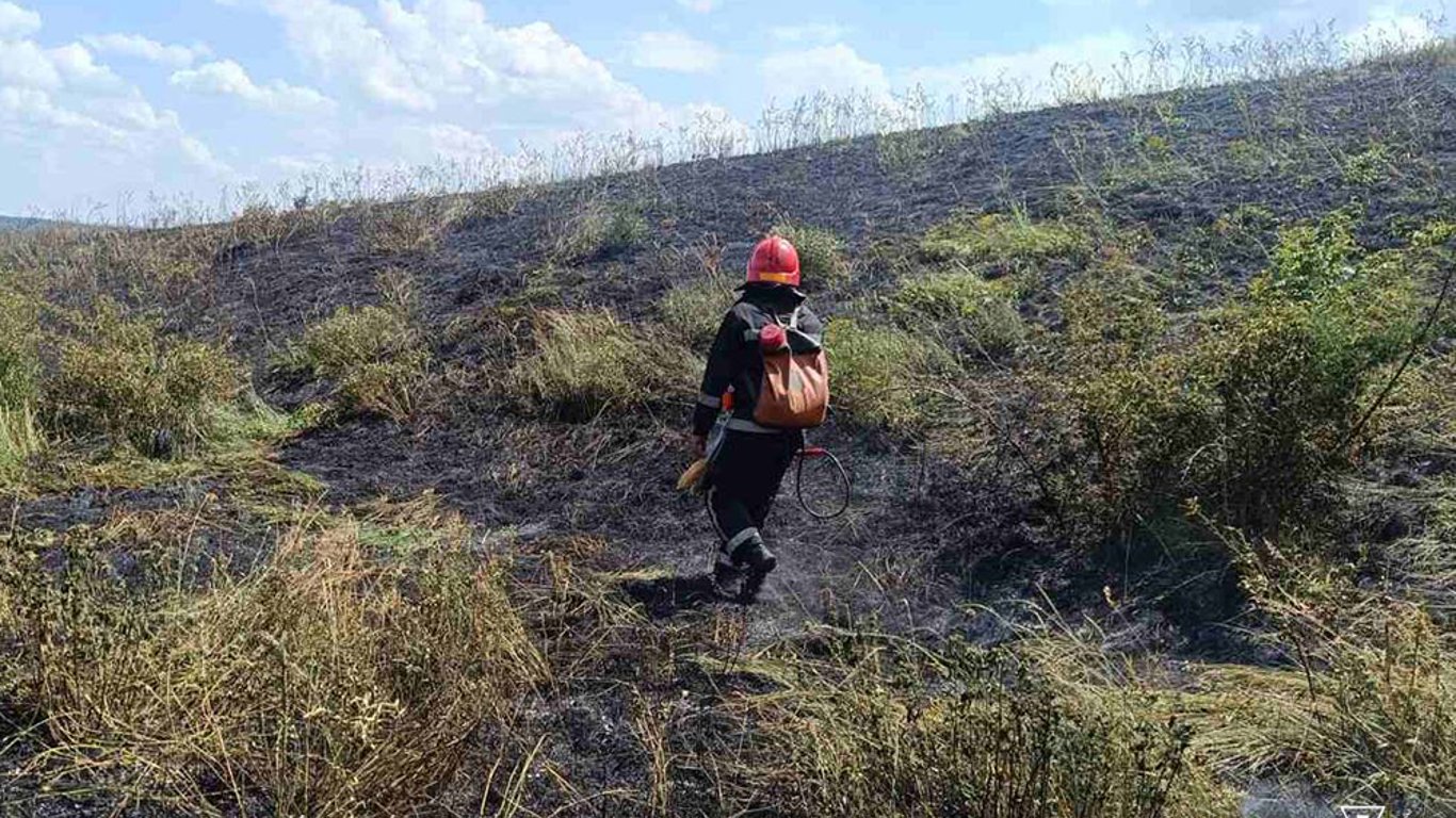 В Николаевской области объявили 5 уровень пожарной опасности